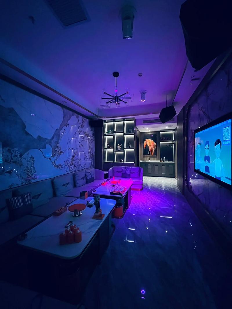 天津商务ktv消费攻略-北辰区ktv预定